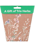 A Gift Of Trio Herbs Greeting Card
