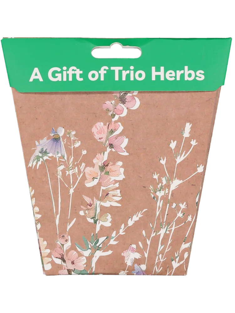 A Gift Of Trio Herbs Greeting Card