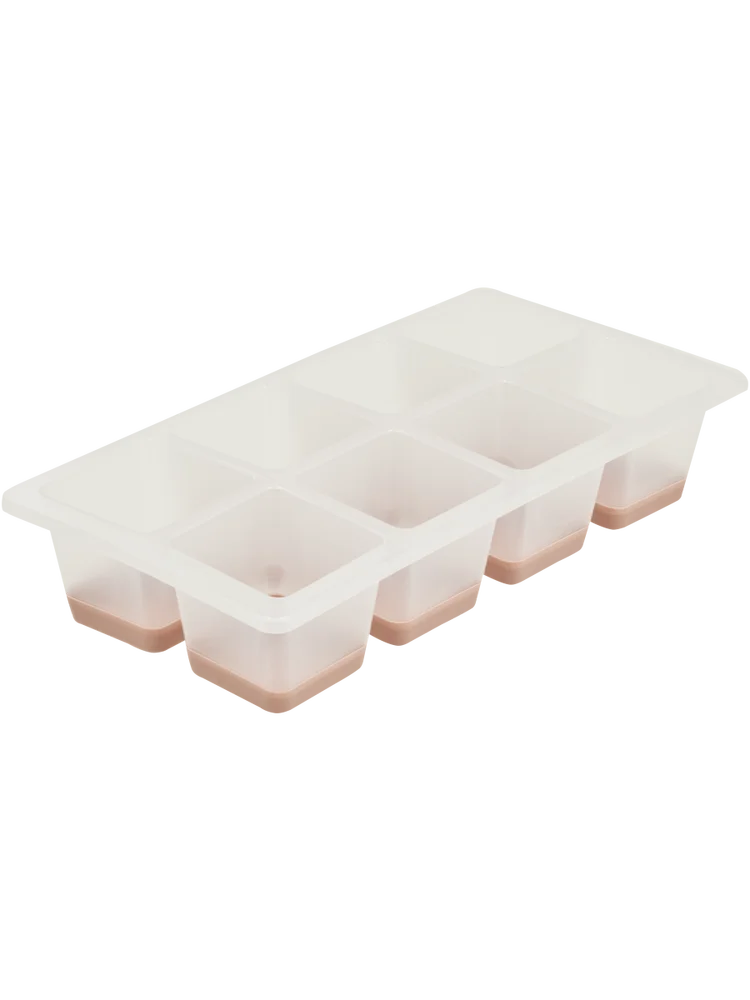 Ice Tray (2)