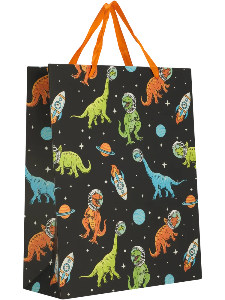 Kids Large Gift Bag (3)