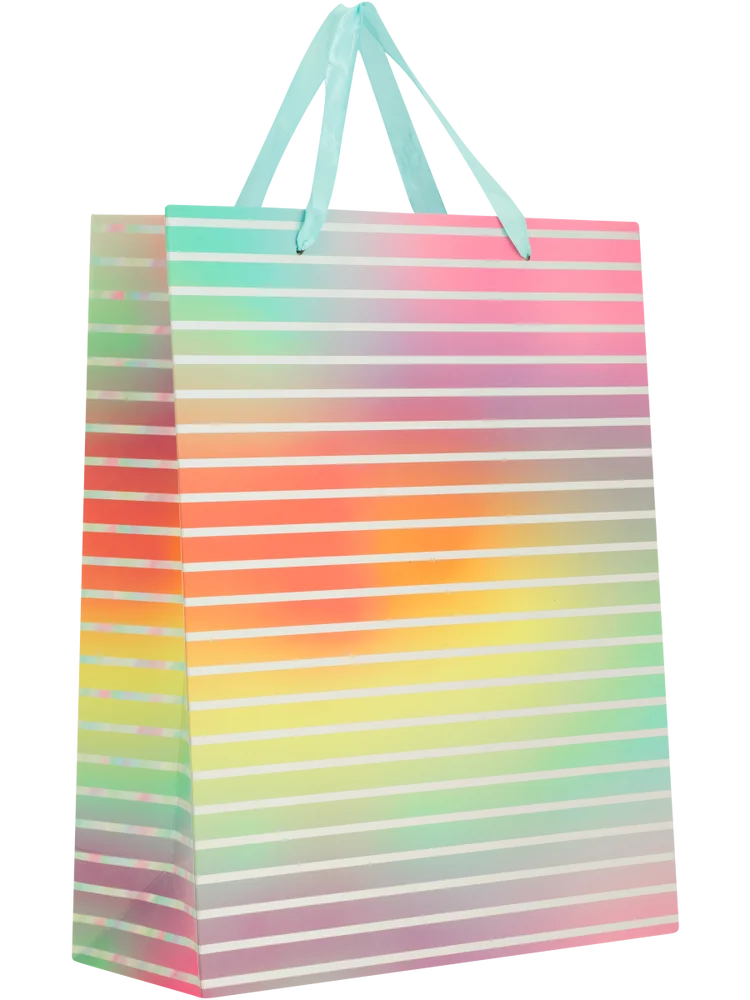 Luxury Large Gift Bag (3)
