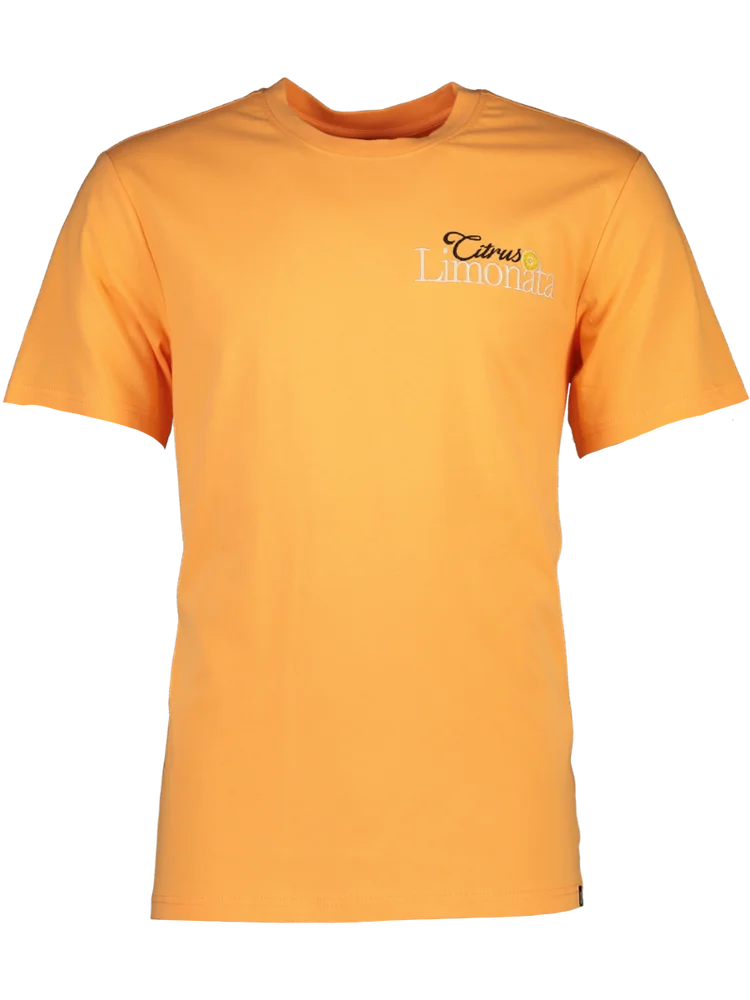 Orange Embroidered T-Shirt