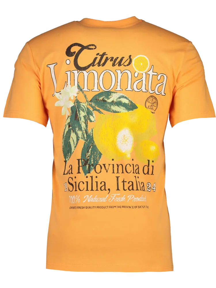 Orange Embroidered T-Shirt (1)