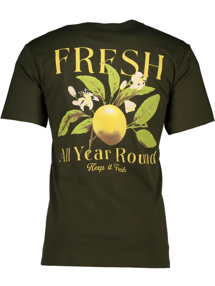 Olive Green Embroidered T-Shirt