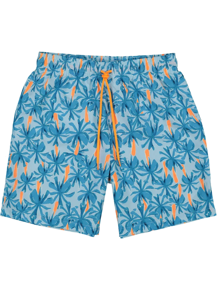 Blue Printed Shorts