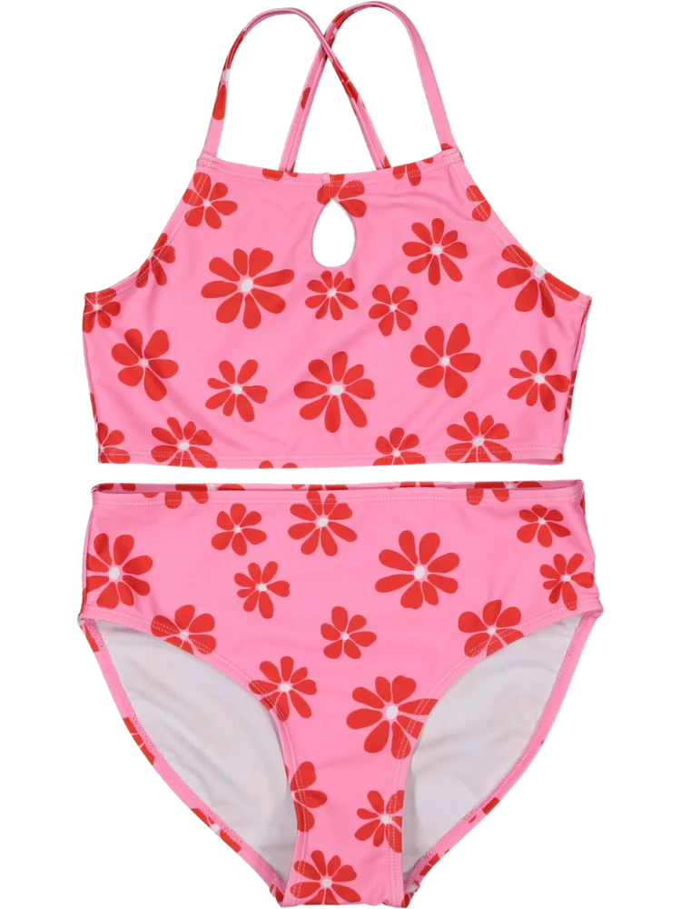 2 Piece Pink Bikini Costume