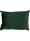 Green Velvet Scatter Cushion 40x60cm