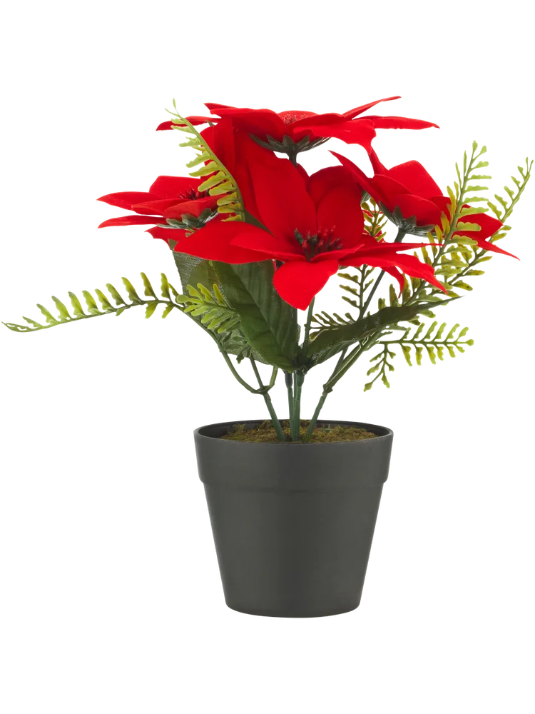 Poinsettia White and Red Artificial Flowers