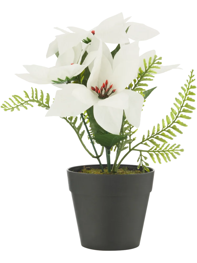 Poinsettia White and Red Artificial Flowers
