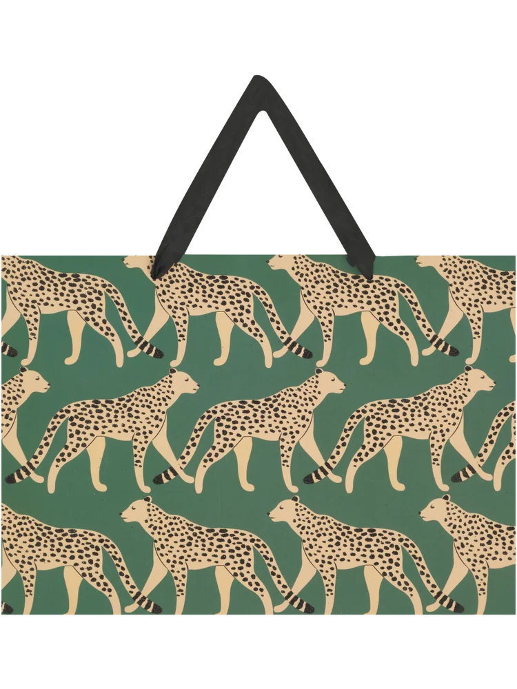 Medium Rainbow and Leopard Gift Bag (1)