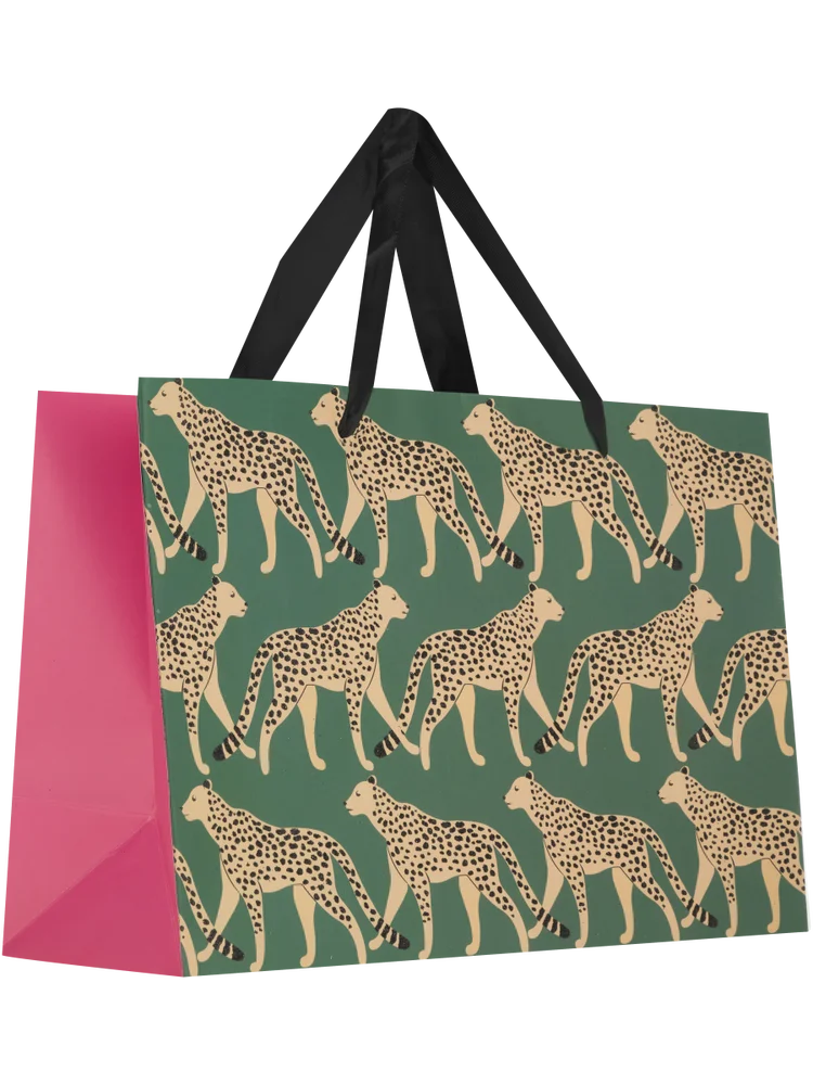 Medium Rainbow and Leopard Gift Bag (3)