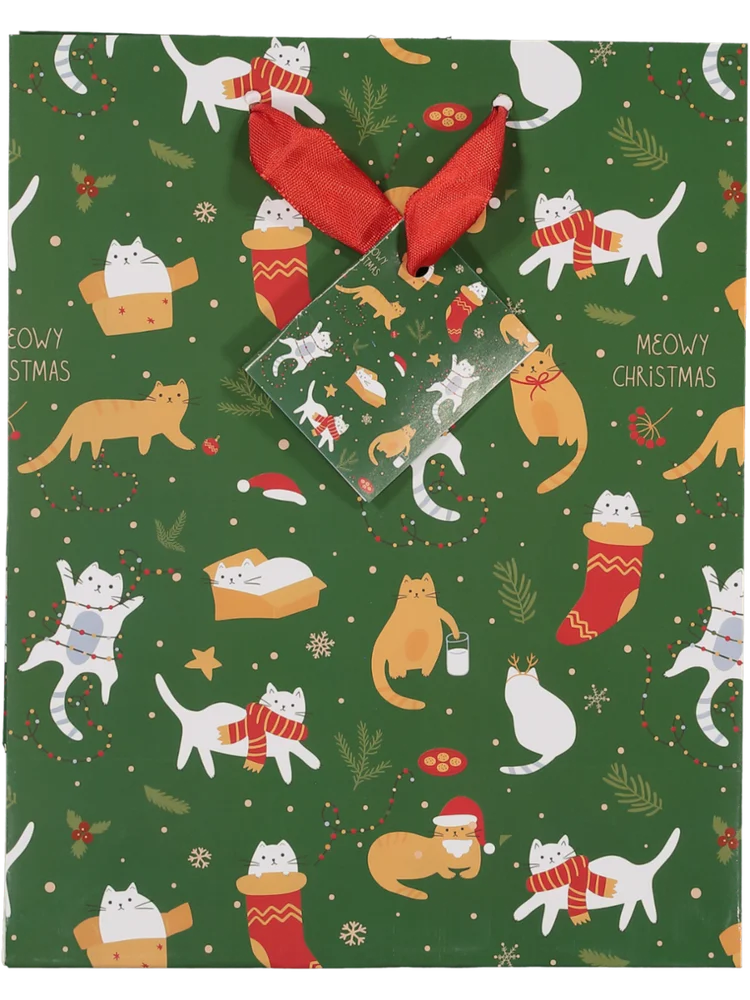 Medium Christmas Gift Bag (1)