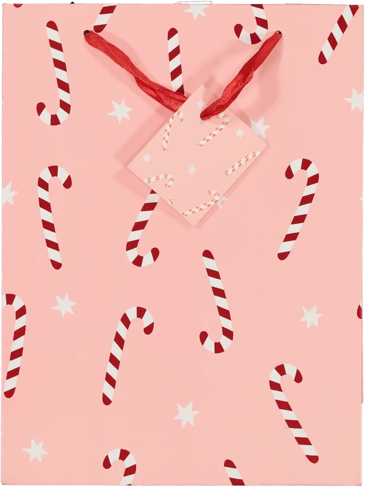 Medium Christmas Luxury Gift Bag