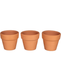 Mini Terracotta Pots