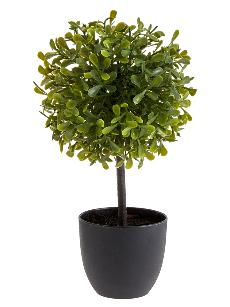 Small Round Tree β PEP Online