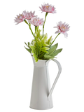 Flower In Jug