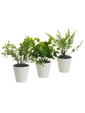 Plant Pack (1)