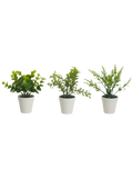 Plant Pack