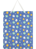 Large Gift Bag (1)