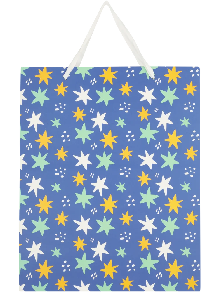 Large Gift Bag (1)