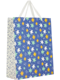 Large Gift Bag (3)