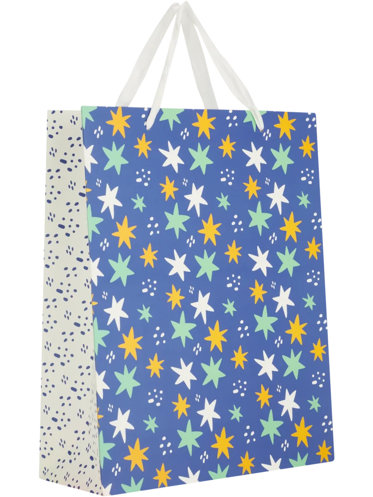 Large Gift Bag (3)