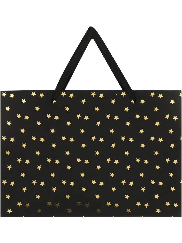 Landscape Stars Gift Bag (1)