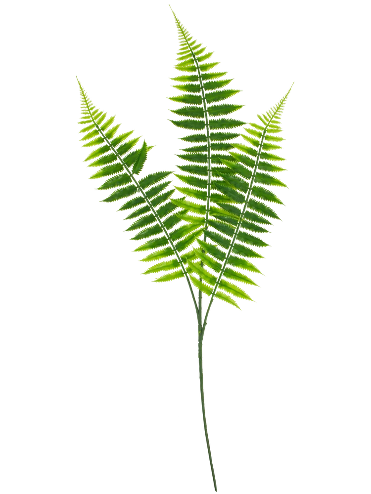 Artificial Fern Foliage