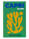 Capri Book Ornament (1)