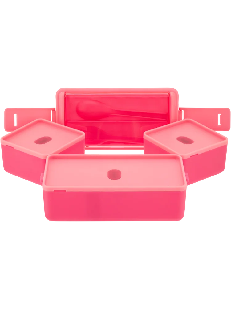 Multi-Compartment Lunch Box (1)