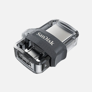 Sandisk
